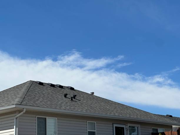 Professional Roofing Services in Smithville, MO